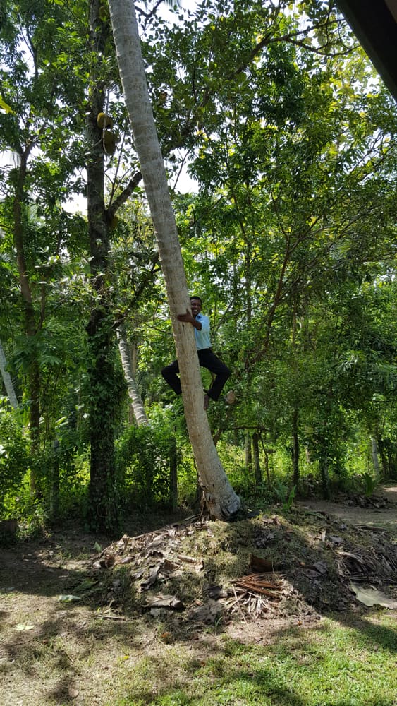 let-assortiment-banners