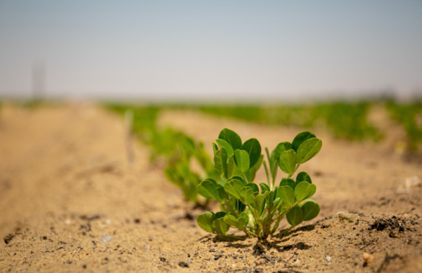 let-assortiment-banners